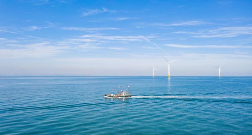 中國(guó)海上風(fēng)電再次領(lǐng)先 40層樓高風(fēng)力發(fā)電機(jī)，一臺(tái)轉(zhuǎn)動(dòng)創(chuàng)造4億元陸路國(guó)際貨運(yùn)業(yè)務(wù)