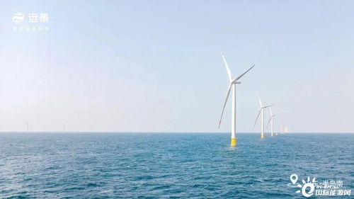 山東首次實(shí)現(xiàn)海上風(fēng)電航空應(yīng)用發(fā)電